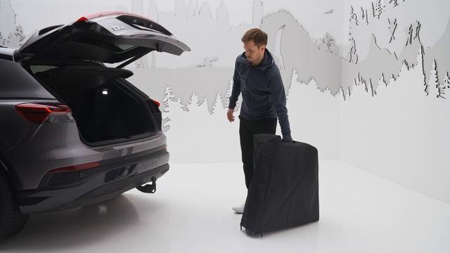 Сумка Thule EasyFold 3 2Bike Storage Bag смотреть онлайн