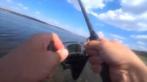 Такого зверя я ещё не ловил! Что это было?