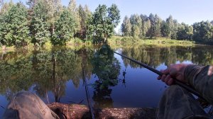 Рыбалка 3 июня на поплавок на карася на малом пруду