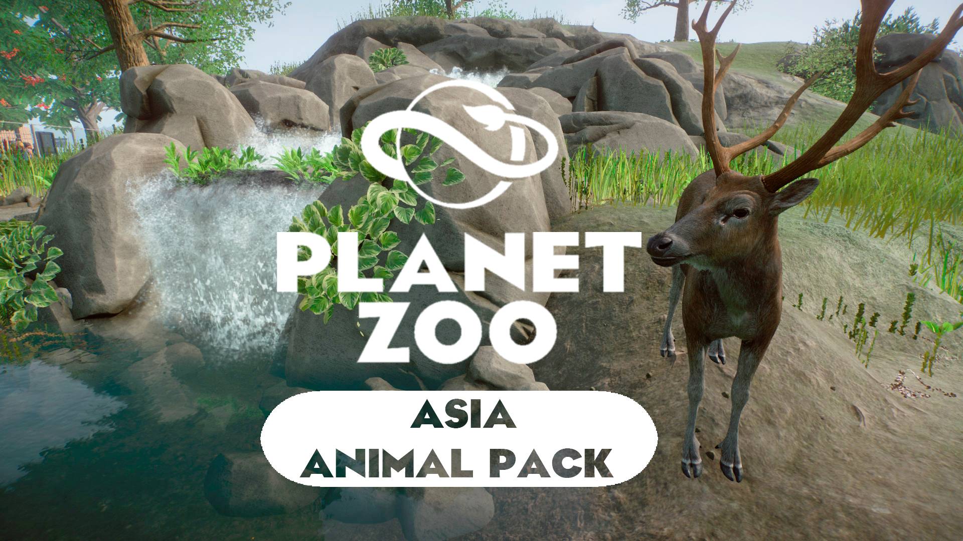 Planet Zoo: Asia Animal Pack - Олень Давида смотреть онлайн