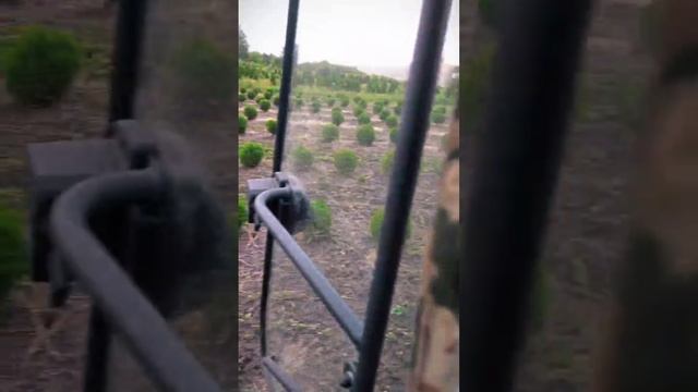 Поставляем технику и оборудование в питомники декоративных деревьев, в ягодные хозяйства и сады смотреть онлайн