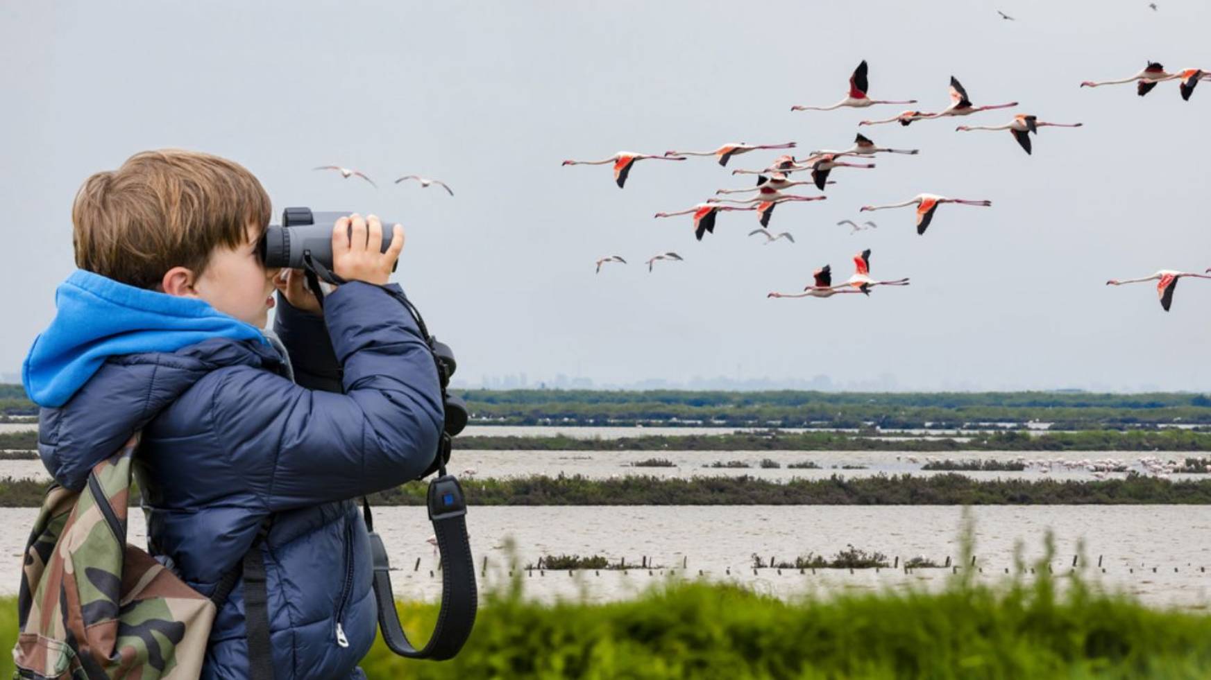 Бердвотчинг - новое увлекательное хобби набирает популярность среди россиян