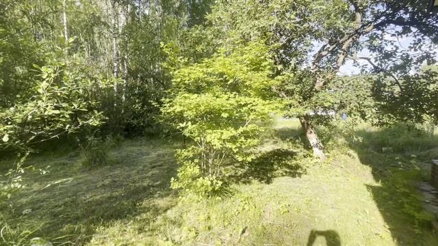 Дача смотреть онлайн