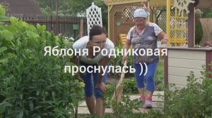 6 соток 2 июля 2025 года. 2 часть