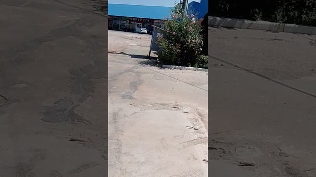 Рынок на Армовирской. смотреть онлайн