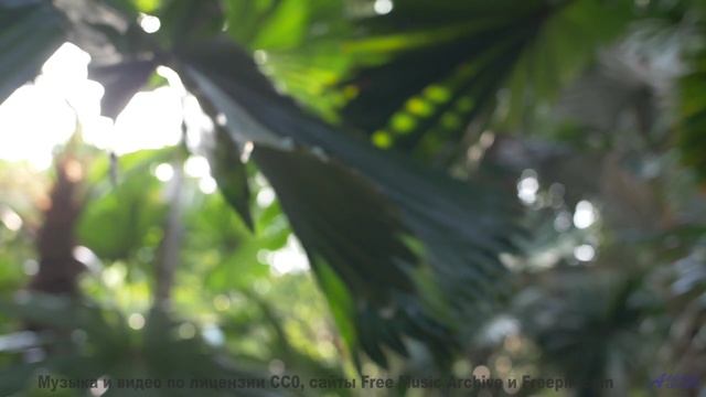 Забудь всё, что ты знал о музыке - этот трек тебя потрясёт - Horsey -- Overhill Ln -- OPULENT