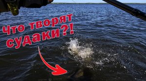 ЛЕГЕНДАРНАЯ Daiwa Fuego ВСЁ!!! Shimano 25 Twin Power X D 4000PG НАЧИНАЕТ РЫБАЛКИ!!!