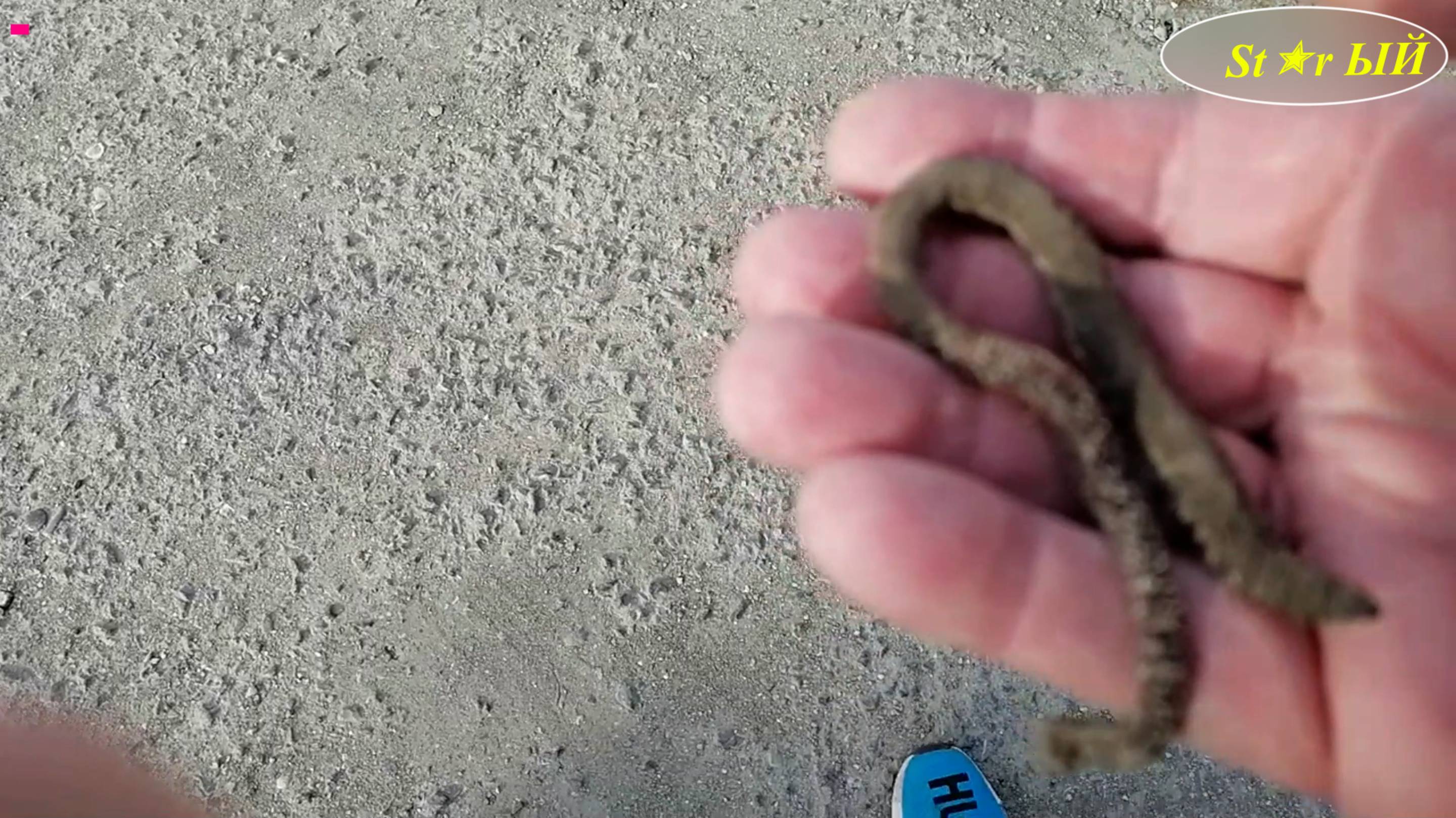 ⤵️ St✭r ЫЙ крымчанин спасает червяка. Уникальная спасательная операция