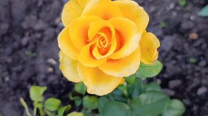 05-07-2025. Жизнь в деревне 🏡