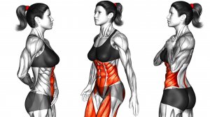 Моя Утренняя Зарядка Дома