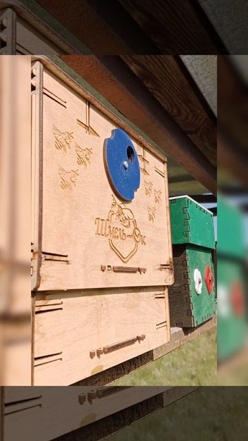 шмель и природа свобода