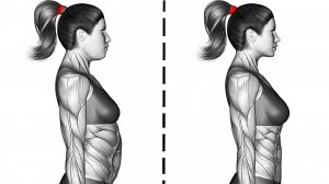 Тонизирующие Упражнения для Начинающих Любого Возраста