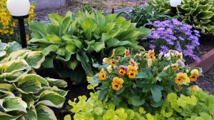 6 соток и ещё столько же. 5 июля 2025.