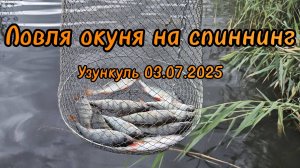 Летняя рыбалка. Ловля окуня на спиннинг. Узункуль 03.07.2025