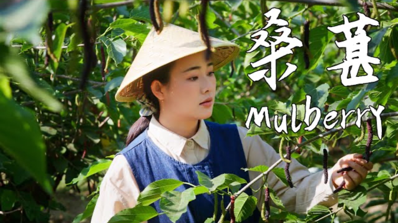 Mulberries—nature’s Purple Gift, Sweet And Tart With A Hint Of Fresh, Grassy Aroma