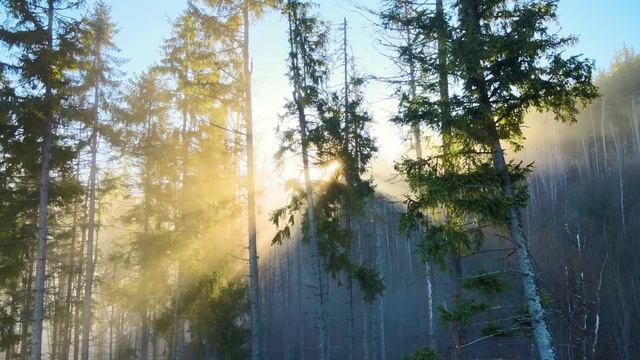 Seasons смотреть онлайн