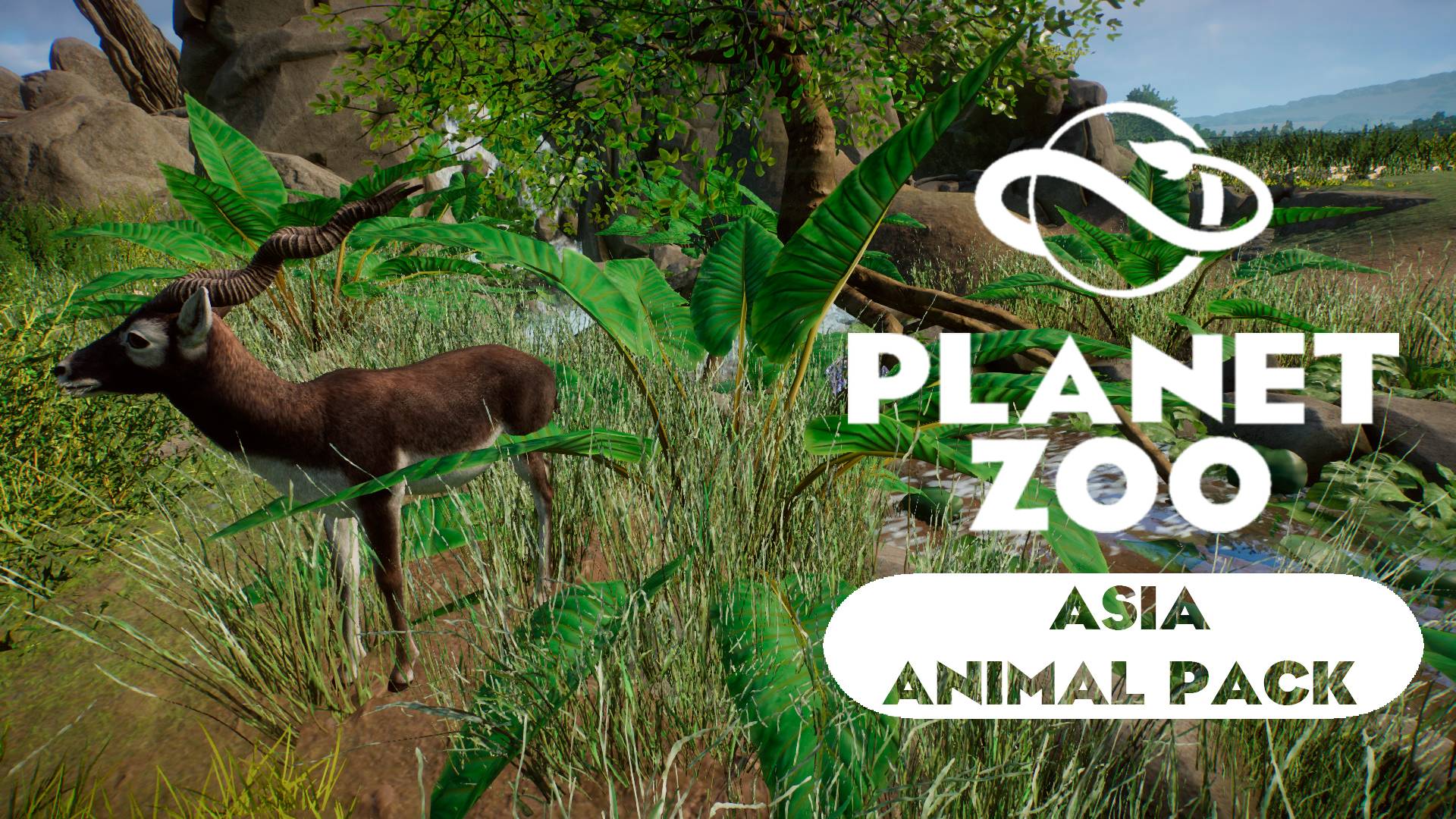 Planet Zoo: Asia Animal Pack - Гарна смотреть онлайн