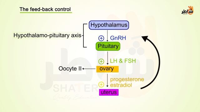 Feedback смотреть онлайн