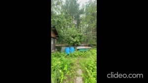 Дача СНТ Электрон Петушинский район Владимирская область