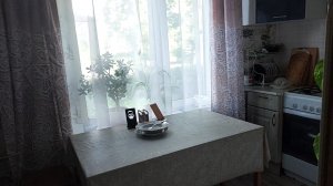 Занимаюсь делами, отвечаю на комментарии