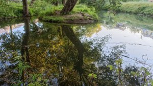 Тест компактного трехосевого стабилизатора для смартфона PowerVision S1 Explorer Kit