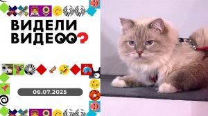 Видели видео? Выпуск от 06.07.2025