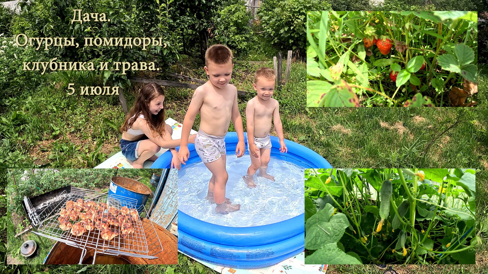 Дача. Огурцы, помидоры, клубника и трава. 5 июля смотреть онлайн