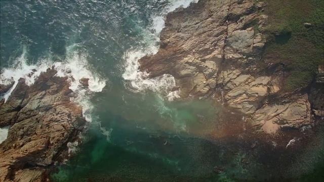 Видео о природе! смотреть онлайн