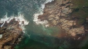 Видео о природе!