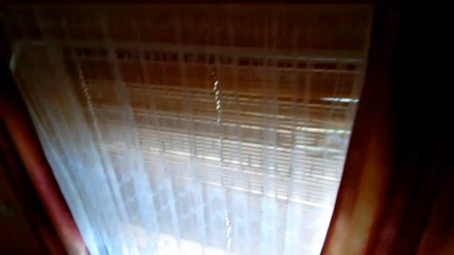 VID_20250706_144145_983