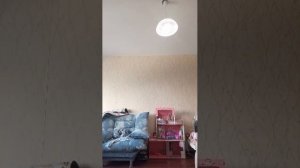 Я спрашиваю у Алисы что мне надеть