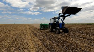 Степаныч все таки выехал на сев суданки!