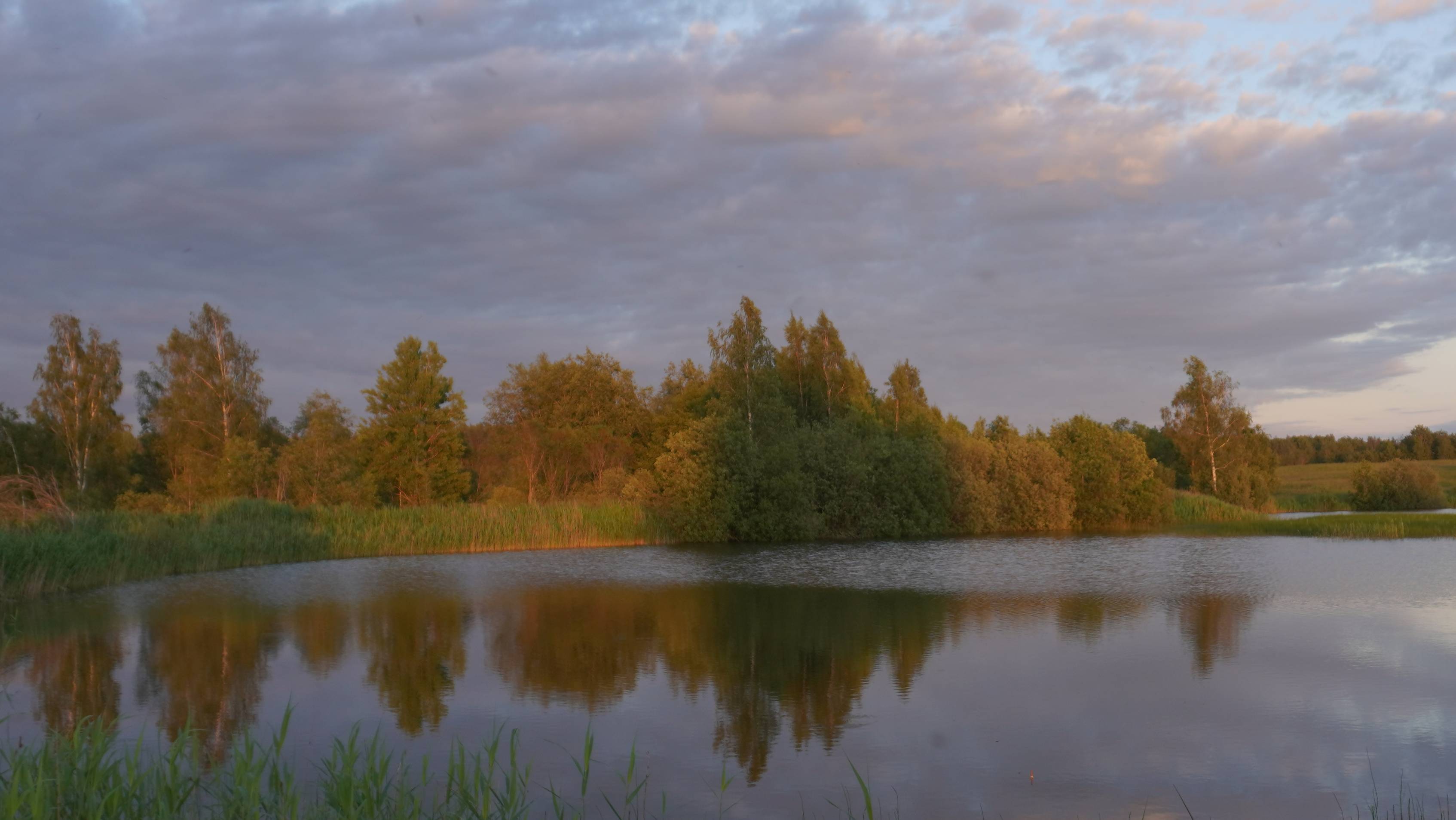 Рыбалка на карася! смотреть онлайн