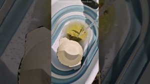 Как отмыть весь дом одним средством?🧹