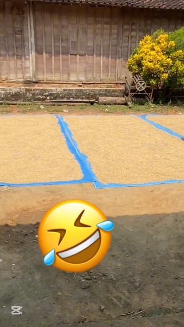 Мы можем это сделать 🤣🤣🤣🫵