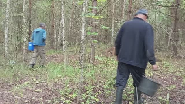 ВЕСЬ ДЕНЬ ОДНИ ПОЕЗДКИ,ВАРИМ ВАРЕНЬЕ, СЪЕЗДИЛИ ЗА ГРИБАМИ, ПОВСЕДНЕВНАЯ ЖИЗНЬ смотреть онлайн