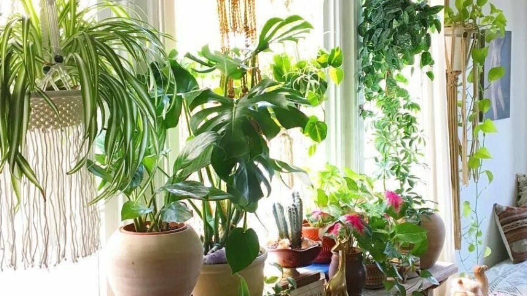 Мой уютный дом и хобби