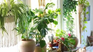 Мой уютный дом и хобби