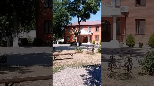 Животные храма. смотреть онлайн