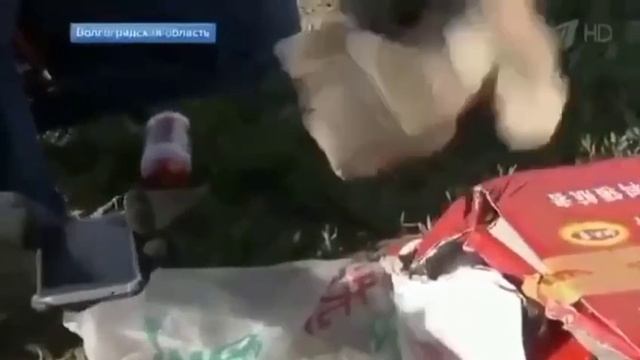 ХИМИЧЕСКАЯ ЕДА... ОБМАН...