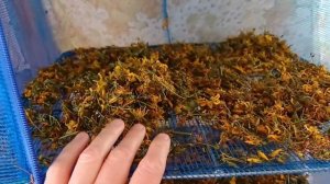 Влог домохозяйки Заготовки на зиму