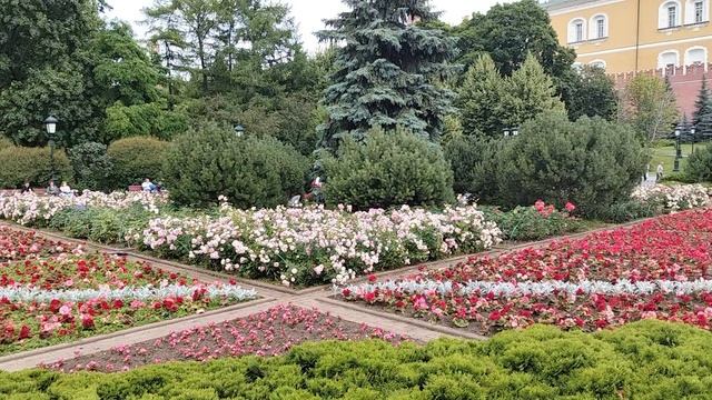 Москва сегодня 6 июля. смотреть онлайн