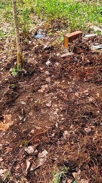 Медно-железная поляна! смотреть онлайн