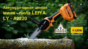 Аккумуляторная цепная пила LEIYA LY-A2220