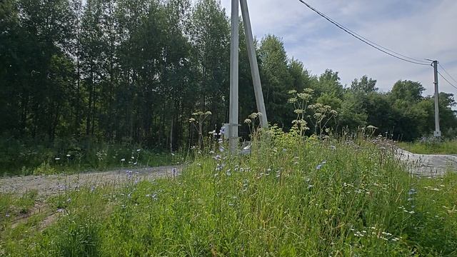 1000066387.mp4 смотреть онлайн