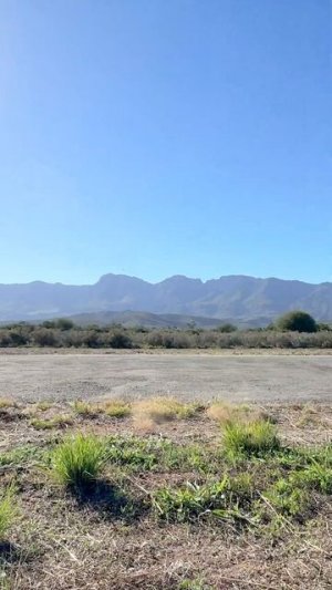 Я гонялся с гепардом