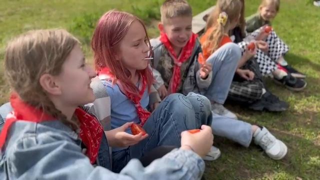 сочные помидоры клип