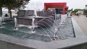 Кошечка смотрит на море 2025