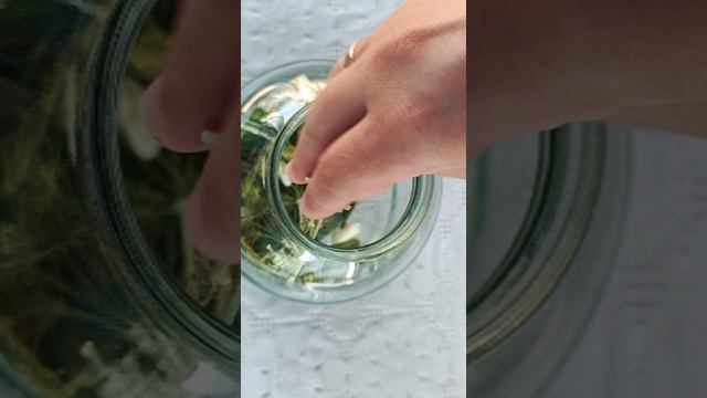 малосольные огурцы на минералке смотреть онлайн