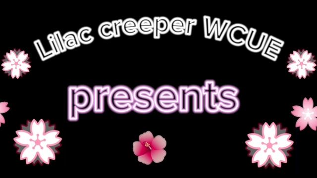 как зайти на торговый сервер в котах воителях  Roblox?